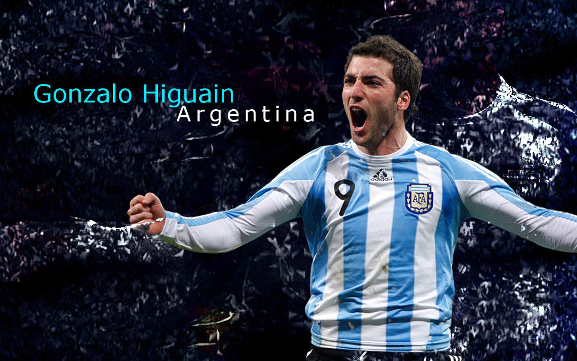 体育产业迎来黄金发展期，政策红利与市场需求双轮驱动